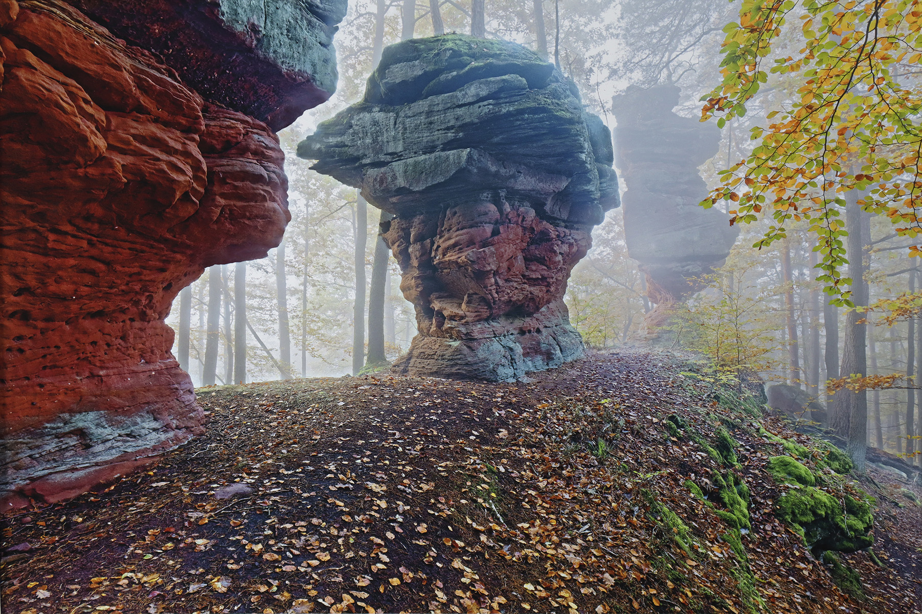 Ausstellung und Multivision „Schöntal – 15km“
